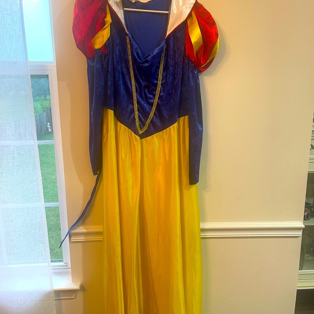 Plus Size Snow White Costume